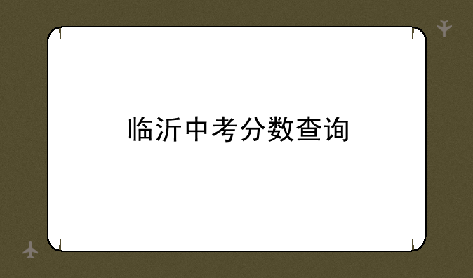 临沂中考分数查询
