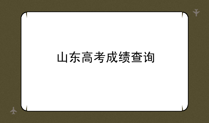 山东高考成绩查询