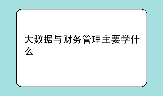 大数据与财务管理主要学什么