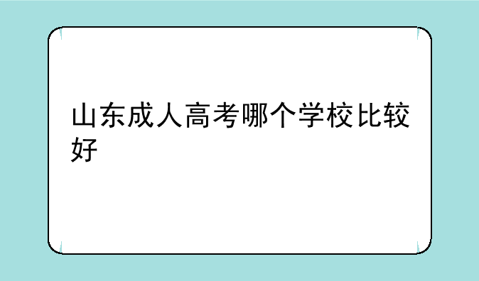 山东成人高考哪个学校比较好