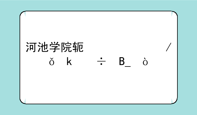 河池学院软件工程就业好吗？