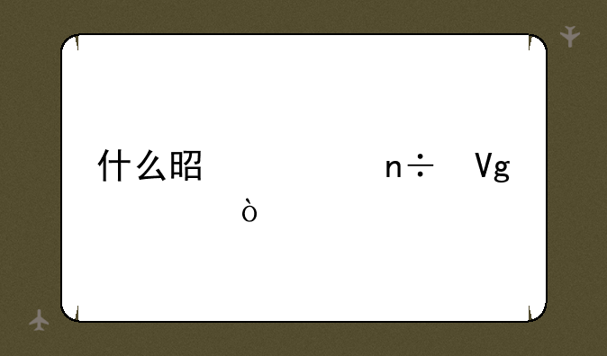什么是出国留学2+2？
