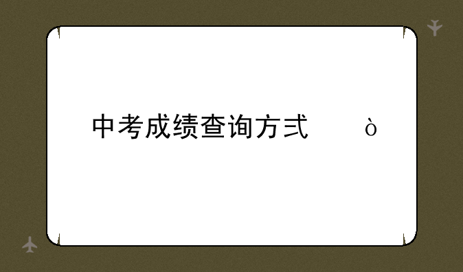 中考成绩查询方式？
