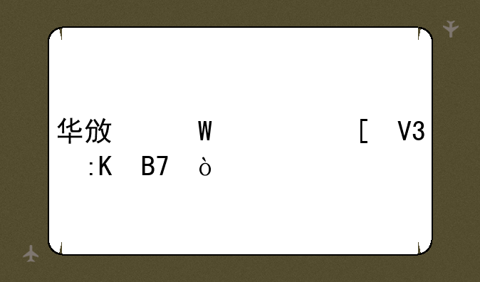 华政法学世界排名？