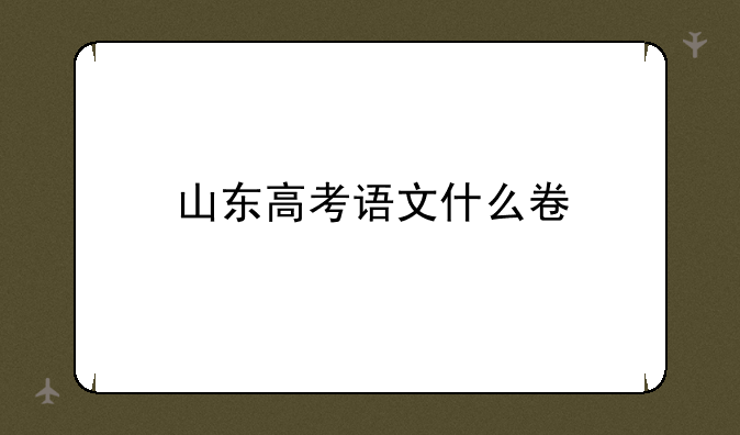 山东高考语文什么卷