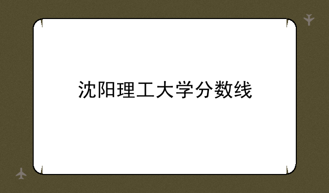 沈阳理工大学分数线