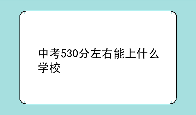 中考530分左右能上什么学校