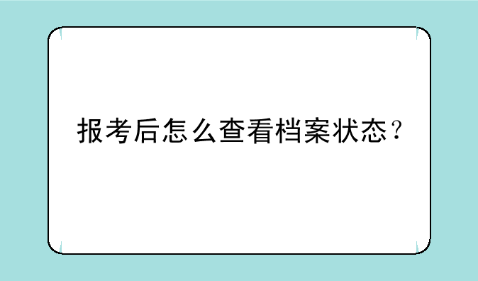 报考后怎么查看档案状态？