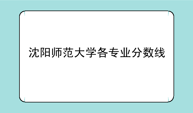 沈阳师范大学各专业分数线