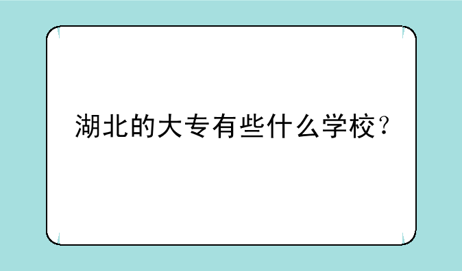 湖北的大专有些什么学校？