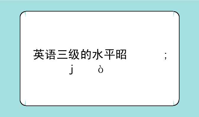 英语三级的水平是怎样的？