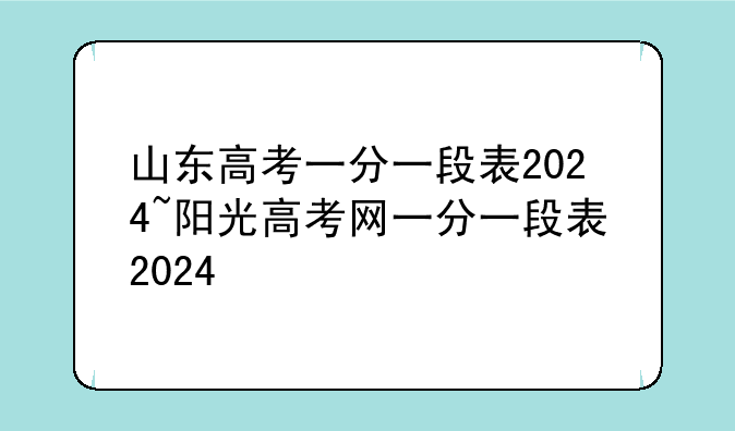 山东高考一分一段表2024~阳光高考网一分一段表2024