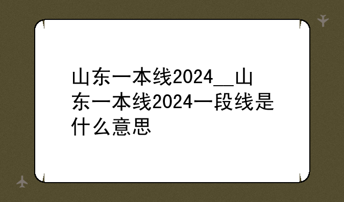 山东一本线2024__山东一本线2024一段线是什么意思
